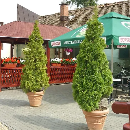 Zsuzsanna Vendeghaz 住宿加早餐酒店