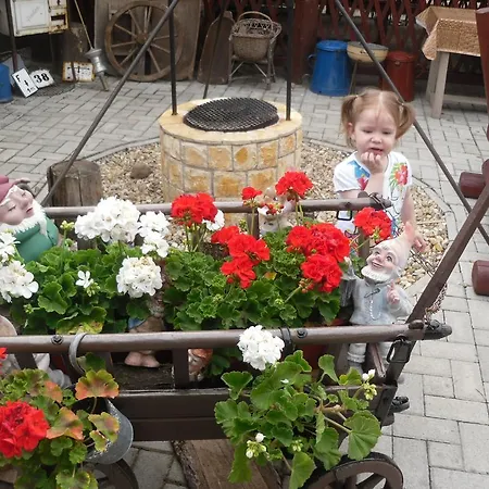 Zsuzsanna Vendeghaz Bed & Breakfast Debrecen