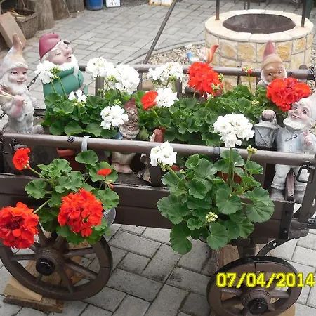 Zsuzsanna Vendeghaz 2*