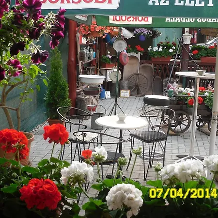 Zsuzsanna Vendeghaz 2* Debrecen