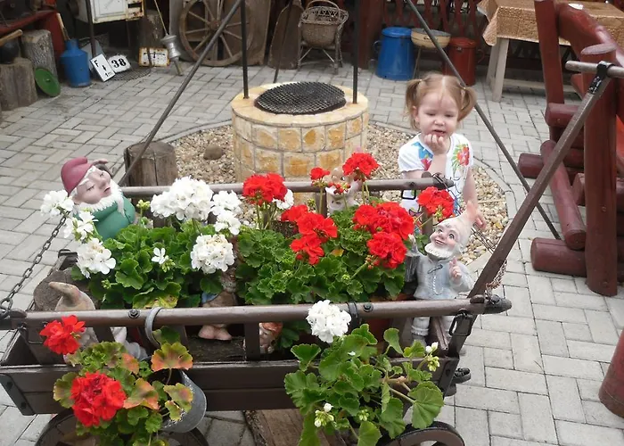 Zsuzsanna Vendeghaz Bed & Breakfast Debrecen