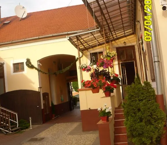 Zsuzsanna Vendeghaz Debrecen