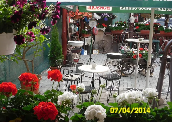 Zsuzsanna Vendeghaz 2* Debrecen
