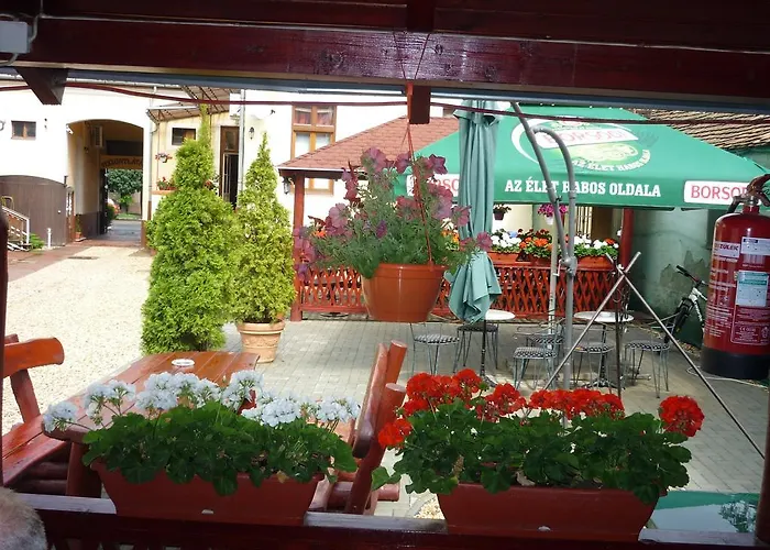 Zsuzsanna Vendeghaz Debrecen